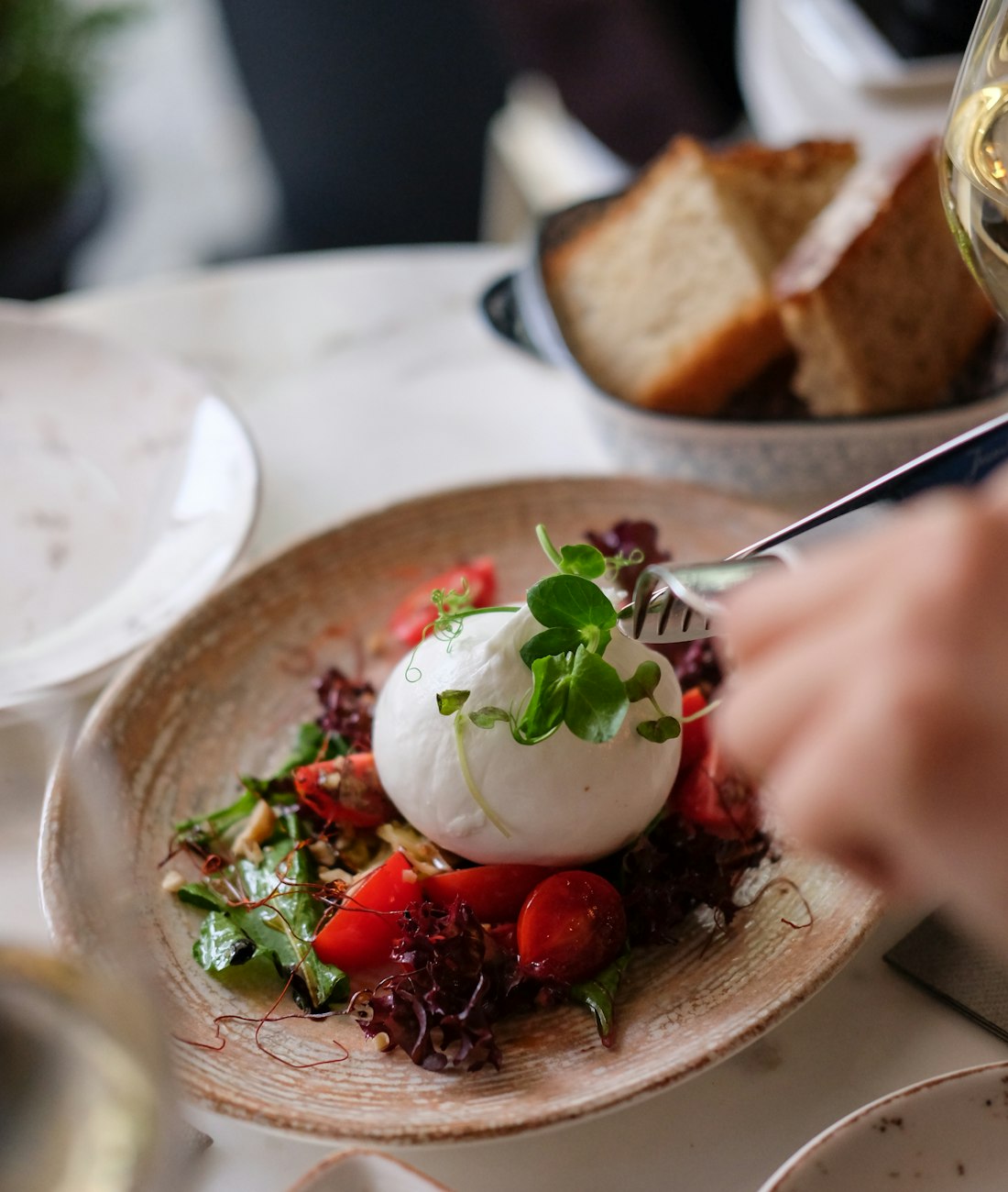 Burrata crémeuse posée sur des tomates et des herbes fraîches